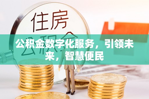 芦洲公积金数字化服务，引领未来，智慧便民