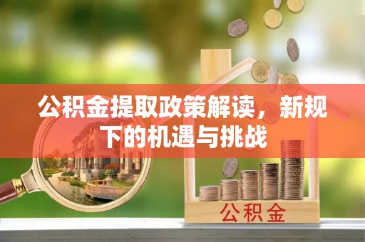 芦洲公积金提取政策解读，新规下的机遇与挑战