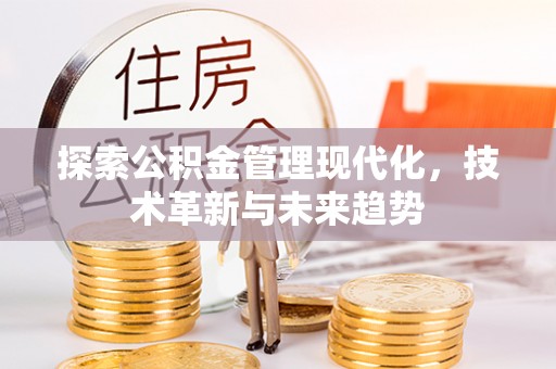 芦洲探索公积金管理现代化，技术革新与未来趋势