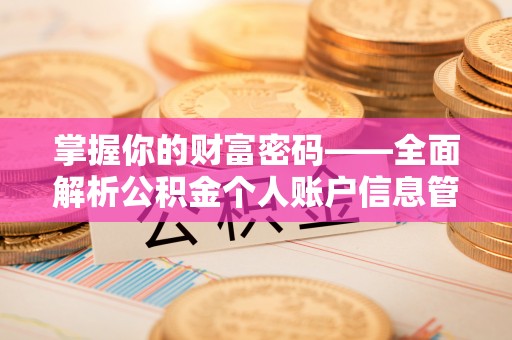芦洲掌握你的财富密码——全面解析公积金个人账户信息管理与优化