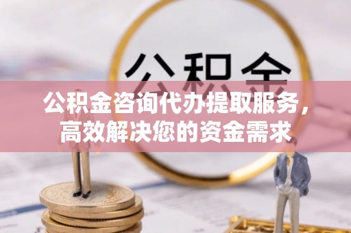 芦洲公积金咨询代办提取服务，高效解决您的资金需求