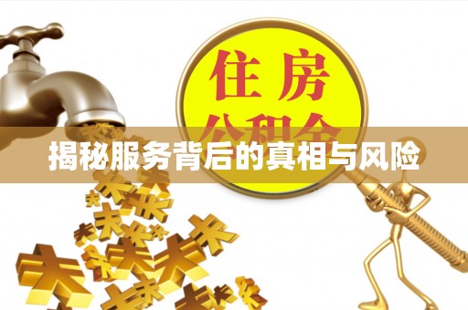 芦洲揭秘服务背后的真相与风险