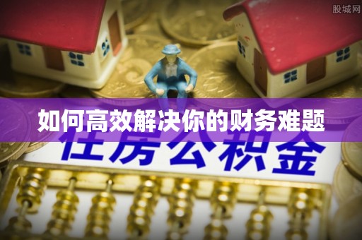芦洲如何高效解决你的财务难题