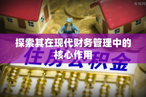 芦洲探索其在现代财务管理中的核心作用
