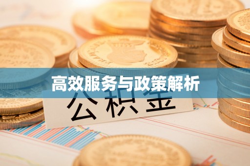 芦洲高效服务与政策解析